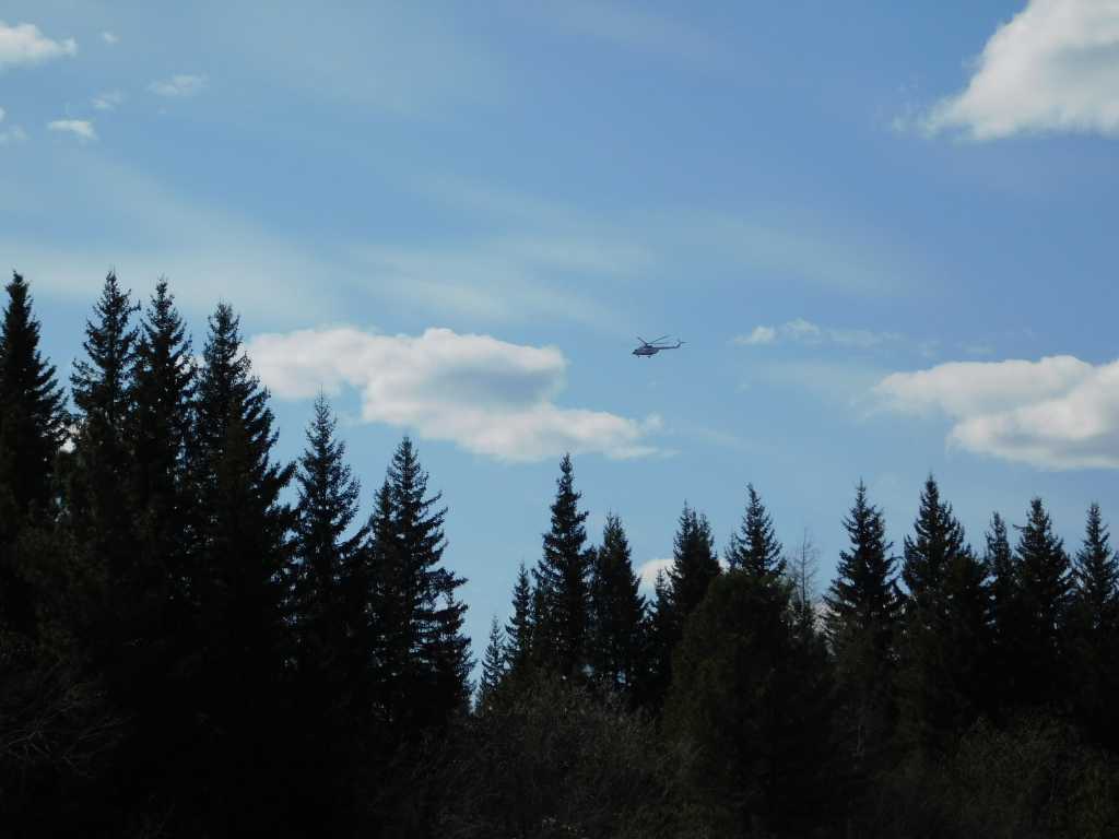 DSCN6709.JPG