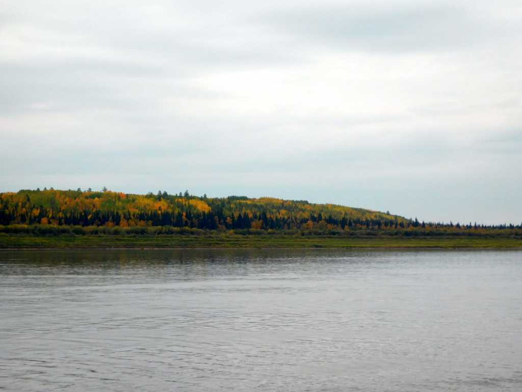 DSCN6650.JPG