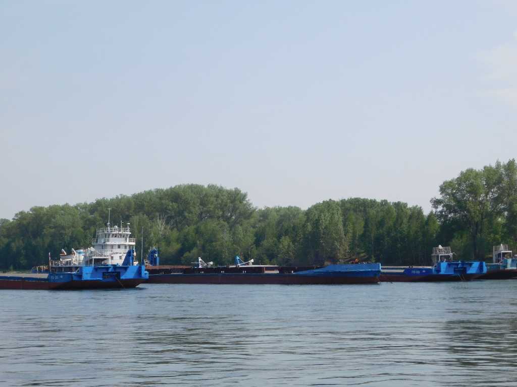 DSCN3310.JPG