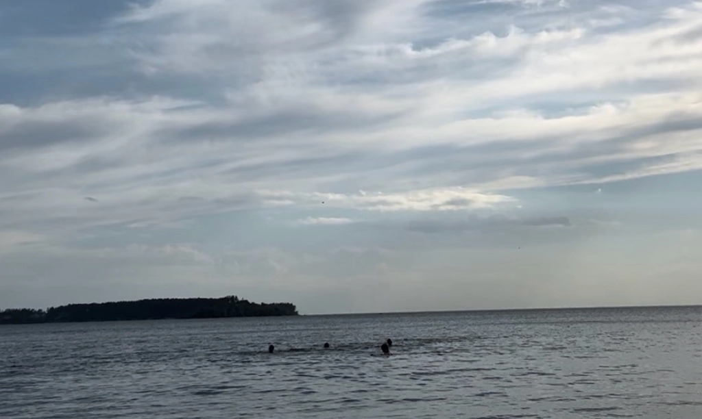 IMG_1550.png IMG_1550.png