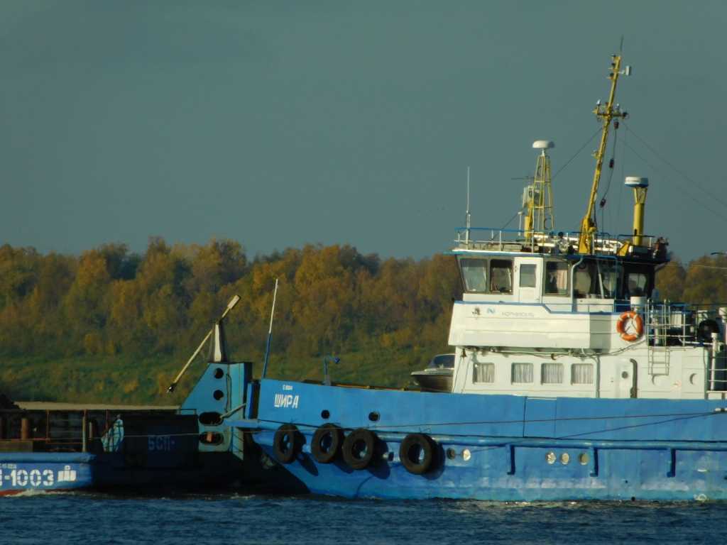 DSCN7031.JPG