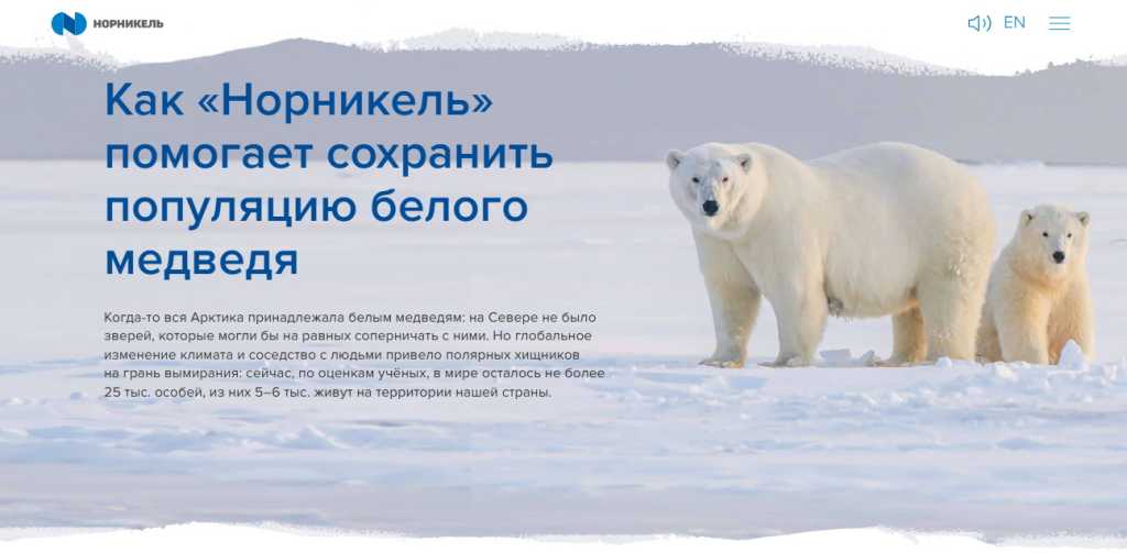 белый.jpg